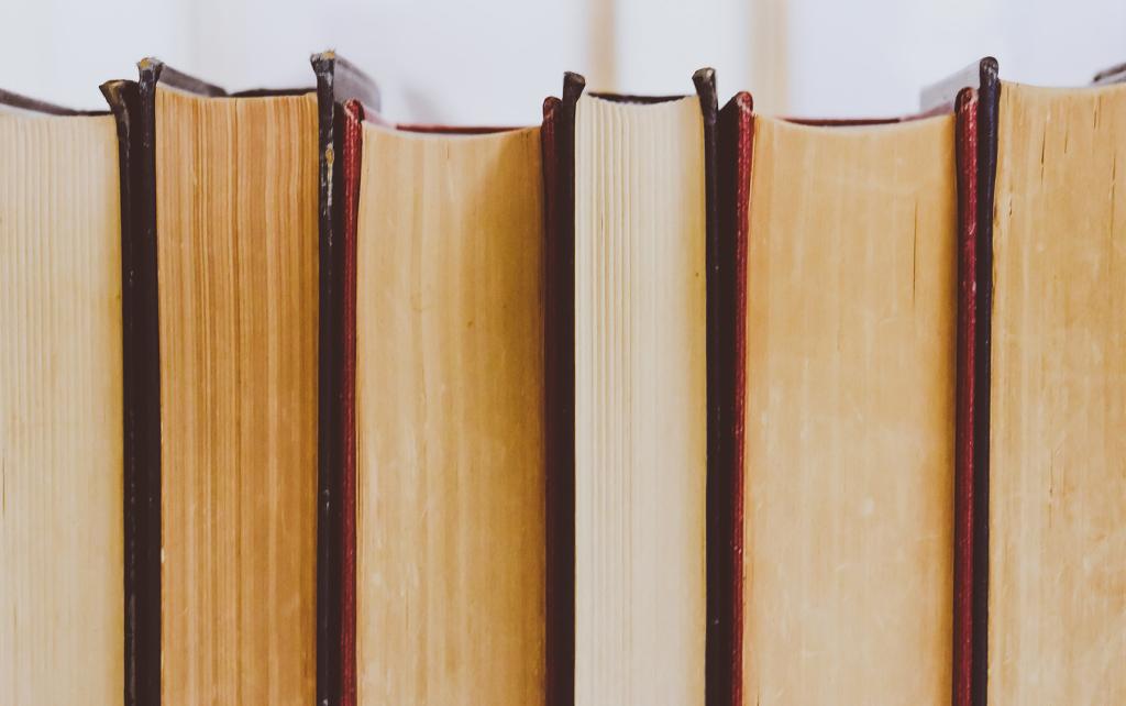 Shelf of books